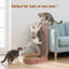 Grattoir pour chat, 2 en 1 multifonctionnel, L en forme de griffoir pour chat fixé au mur avec bol à griffer ovale pour chat et boules de jouets intégrées