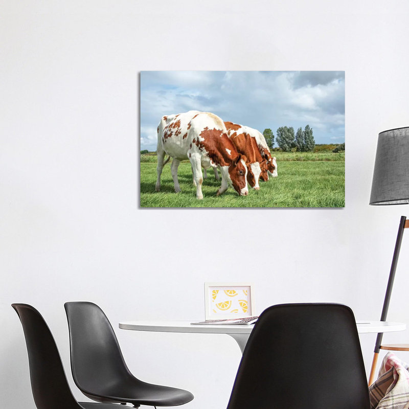 Four Cows On A Row by Clara Bastian - Wrapped Canvas Print, 101.6 cm H x 66.04 cm W x 1.91 cm D