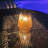 Solar Outdoor Lanterns Waterproof