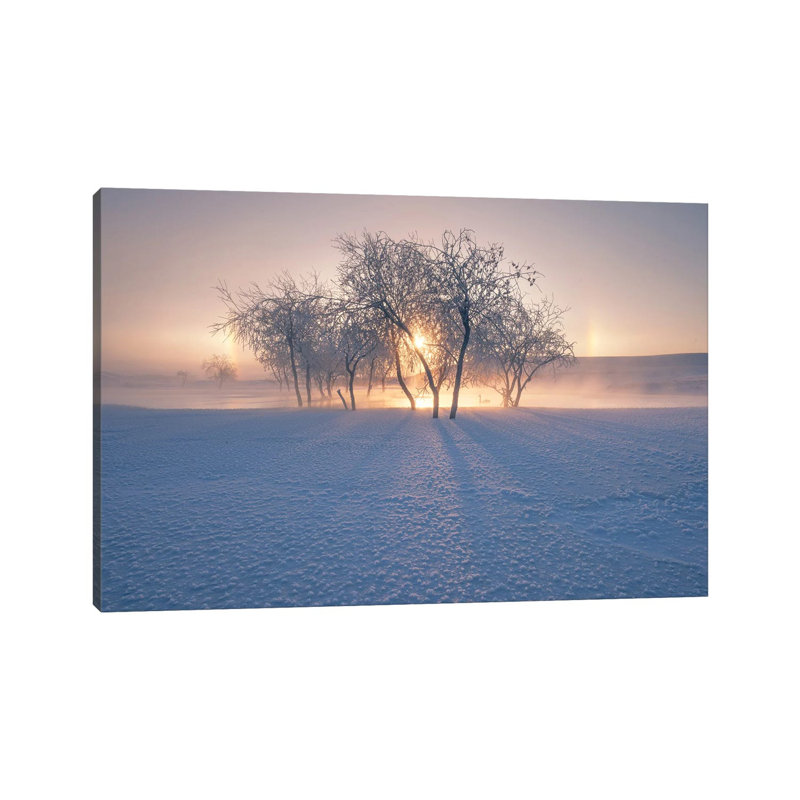 Swan Lake by Bingo Z - Wrapped Canvas Print, 20.32 cm H x 30.48 cm W