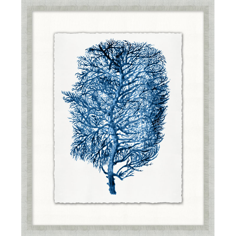 Blue Sea Fan 5 Print