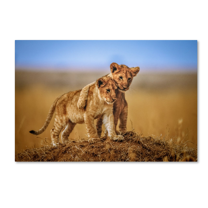 Art mural sur toile tendue - Jeffrey C. Sink «Brothers For Life», art mural pour salon, chambre à coucher ou bureau - 16 x 24
