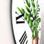 Horloge murale traditionnelle Zamioculcas-60329317
