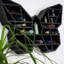 Locelso Wood Floating Shelf