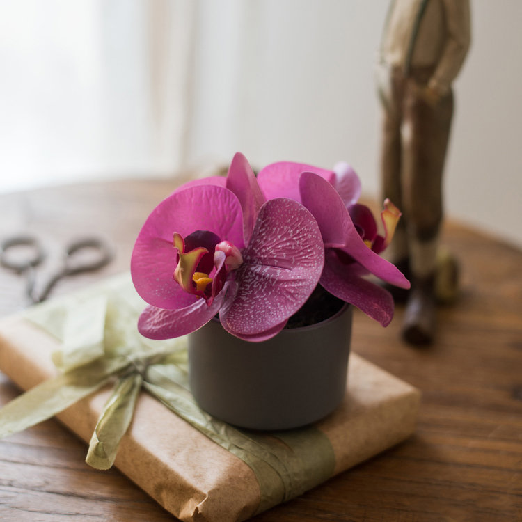 PEVA Orchid Arrangement in Pot, Purple