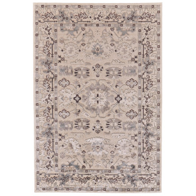 Performance Viscose Oriental Indoor Rug