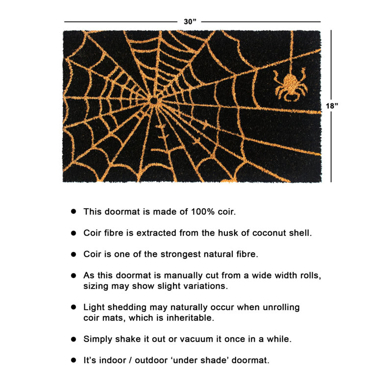 Tapis de porte d'extérieur antidérapant Iarund Spider Web 30 po x 18 po