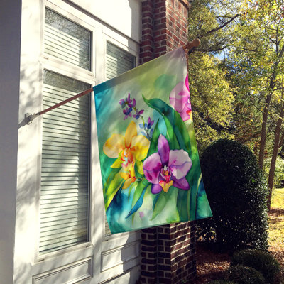 Double Sided 40'' H x 28'' W Polyester House Flag
