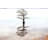 Bald Cypress Tree by PamSchodt - Wrapped Canvas Print-899833076