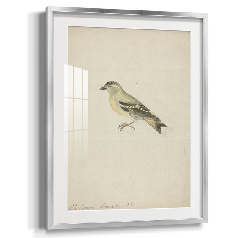 «Vintage Animal Print», impression encadrée, Argent