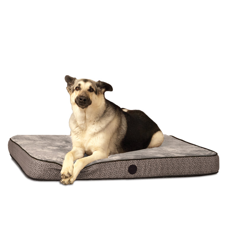 Animal Print Orthopedic Fleece Pet Bed, Large (50" W x 40" D x 5" H), Gray