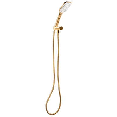 Shower Head and Hose Kit AMAJA