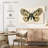 Brampt Natures Butterfly III-107869853