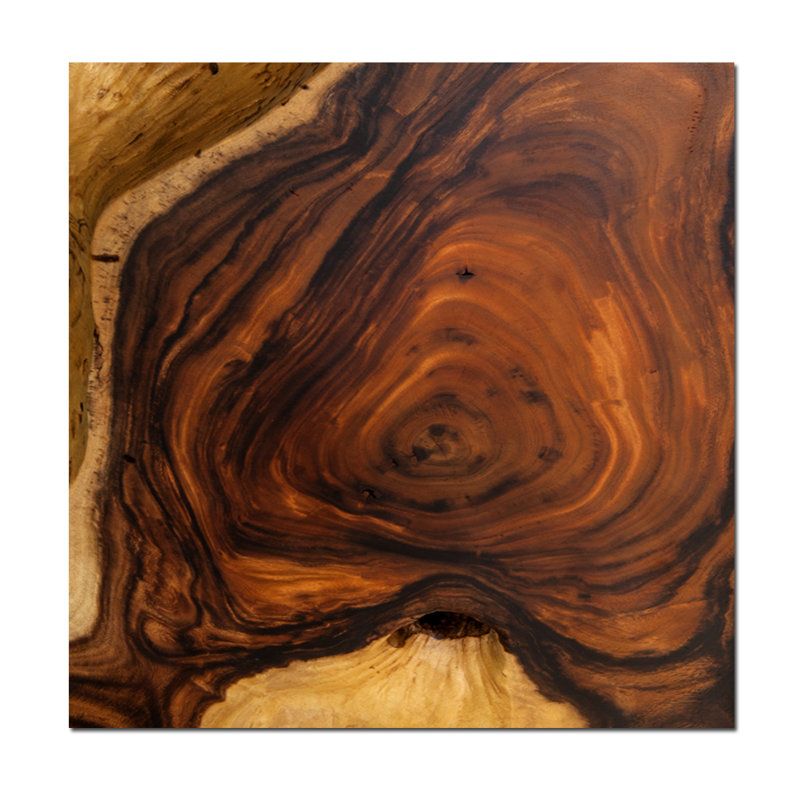 Great Oak Print, Square 36" H x 36" W x 2.5" D