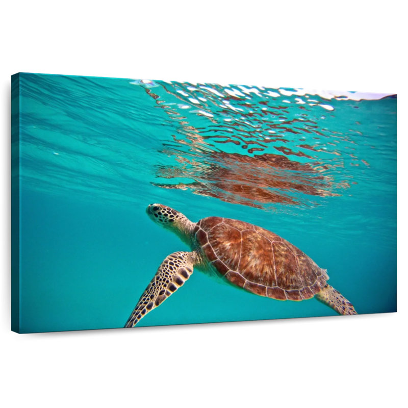 Brampt Floating Sea Turtle, 34" H x 51" W