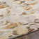 Pypper Hand Tufted Abstract Indoor Rug