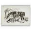 « équin sketch iv », impression-28042303-22188261-28042301