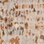 Tapis touffeté à la main à motif abstrait Pypper-1011270840