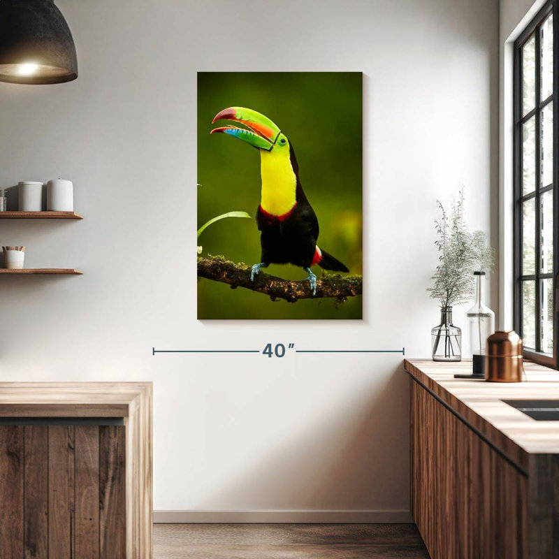 Toucan arc-en-ciel Brampt, H 39 po x l 26 po
