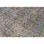 Oriental Area Rug in Gray