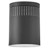 Lark Casey Flush Mount