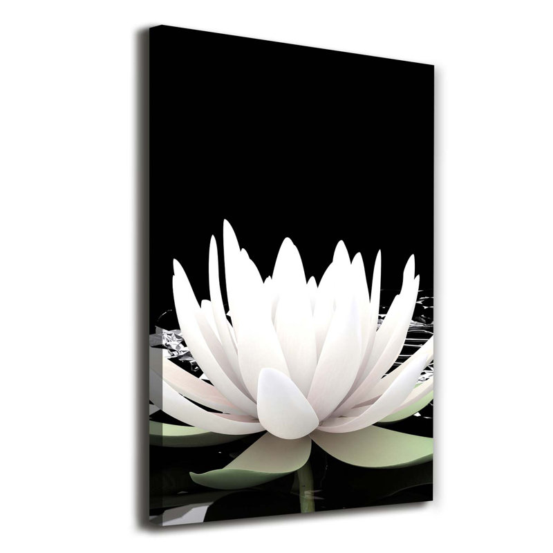 Lotus Flower - Wrapped Canvas Print