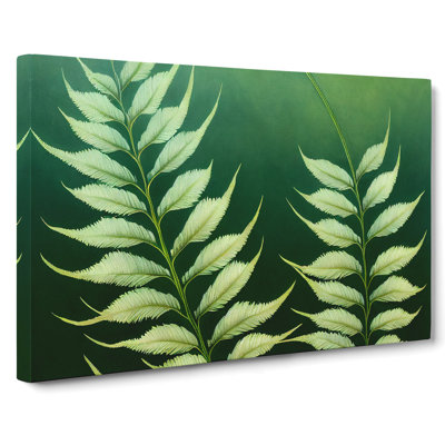 Enviable Fern Leaf - Wrapped Canvas