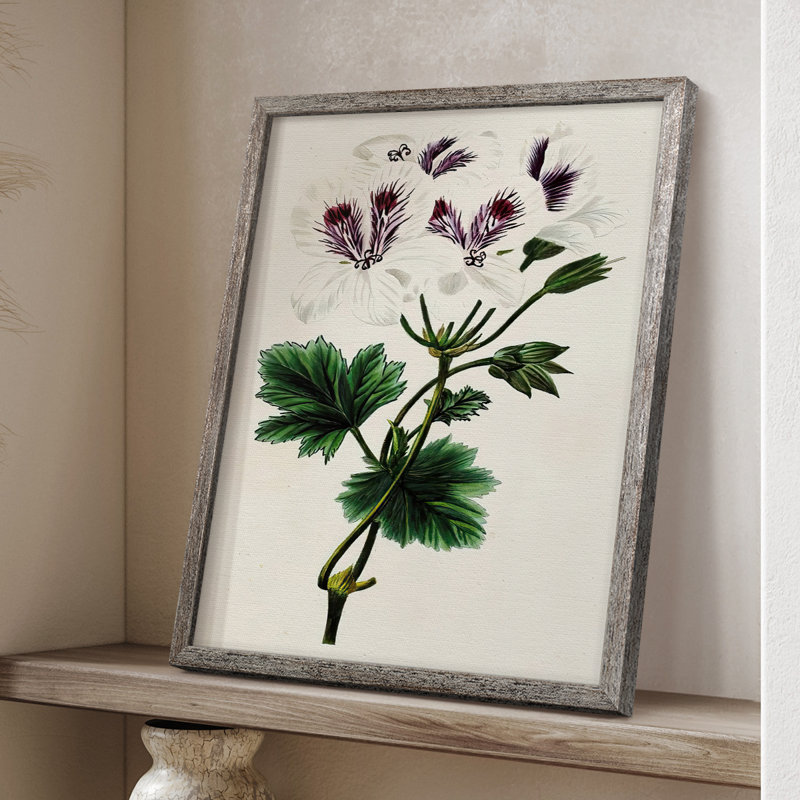 AntiqueFloralFolioIX Framed Print - Solid Wood, 15" H x 12" W