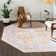 Saphira Chenille Oriental Indoor Rug