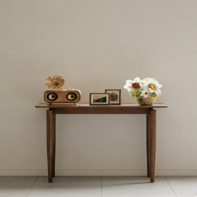 Modern Minimalist Art Console Table