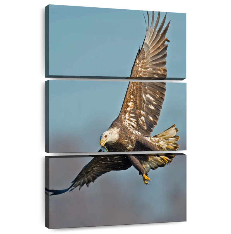Brampt Soaring Bald Eagle, 32" H x 20" W
