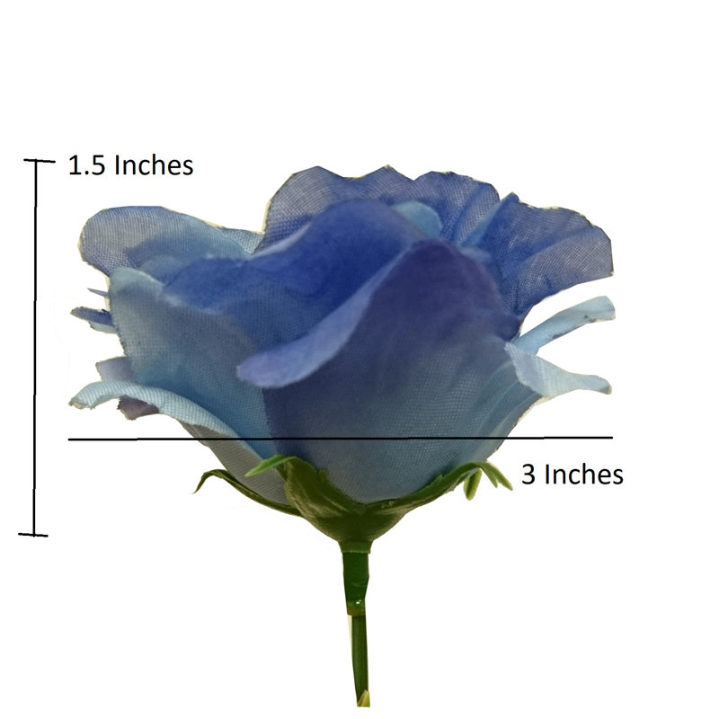 18 fleurs roses en pleine floraison, Pêche / bleu