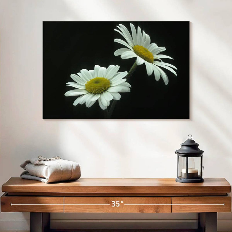 Harnek Leucanthemum Vulgare Large Daisy, 16" H x 24" W