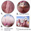 Décoration murale autruches roses - Autruches-458958714-458958709