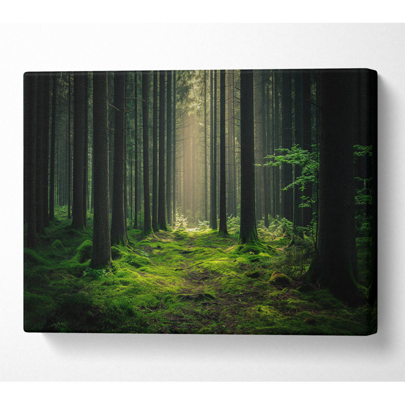 No Frame Print on Canvas, 81cm H x 121.9cm W