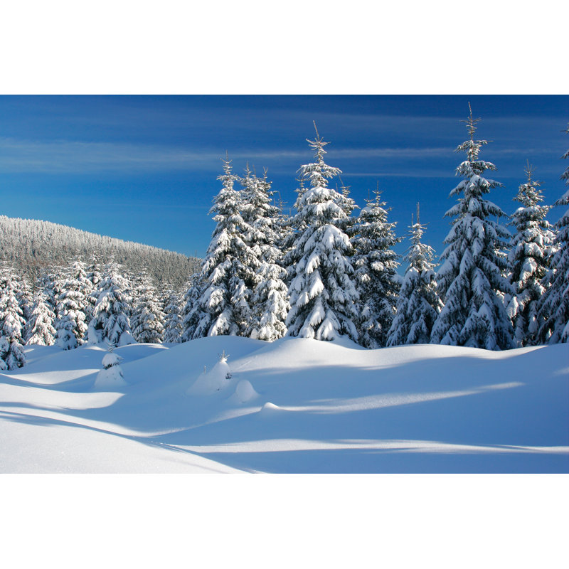 Winter Landscape by AVTG - Wrapped Canvas Print, 20cm H x 30cm W x 3.8cm D