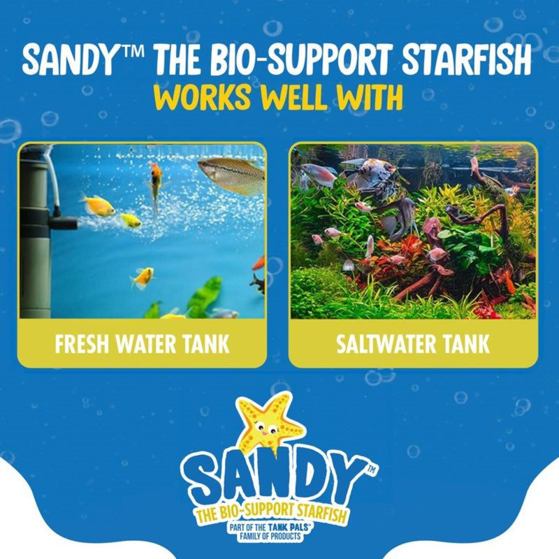 Water Bio-Support: 6 Pk - Sandy, Yellow