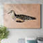 Toile tendue Feathered Friend III-Gallery-1083876092