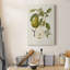 Vintage Pears II - impression sur toile tendue-1313909354