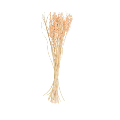 Eloise Cole And Grey Dried Plant Tall Natural Foliage With Cream Stems