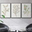 Ensemble de 3 pièces encadrées sur toile simple Sprig II-97710496-97710495