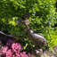 Stylish Isaiah Cat & Mouse Metal Garden Wind Spinner - Hand-Finished Outdoor Lawn and Garden Décor Statue