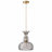 Vintage Industrial Cage Glass Pendant Light, 9 Inches Wide × 63 Inches High UL Listed-1384570943