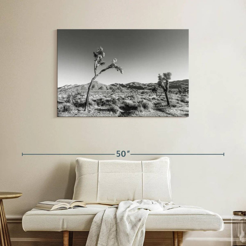 Harnek Joshua Tree National Park, monochrome, H 26 po x l 39 po