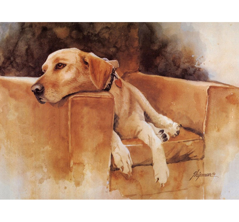Dog Tired (Yellow Lab)