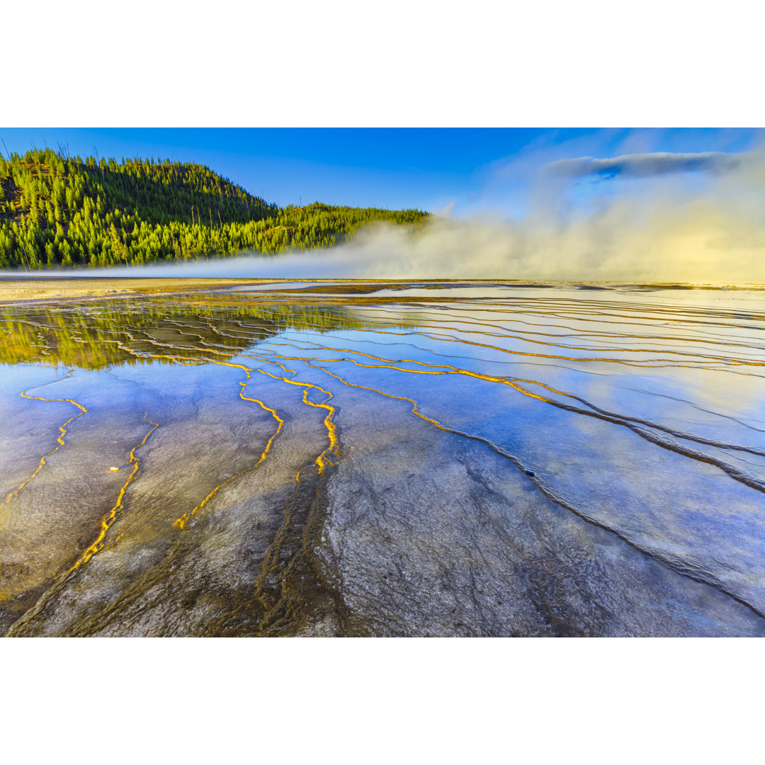 Yellowstone National Park in Wyoming von Don White - Drucken