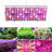 HALLOLURE Grow Light