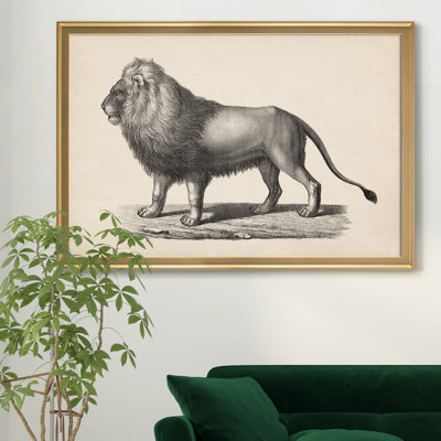 " Brodtmann Lion " Painting Print