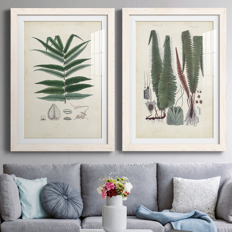 Collected Ferns IX " Collected Ferns IX " 2 - Pieces Painting Print, White Framed, 4.35" H x 31.5" W x 1" D