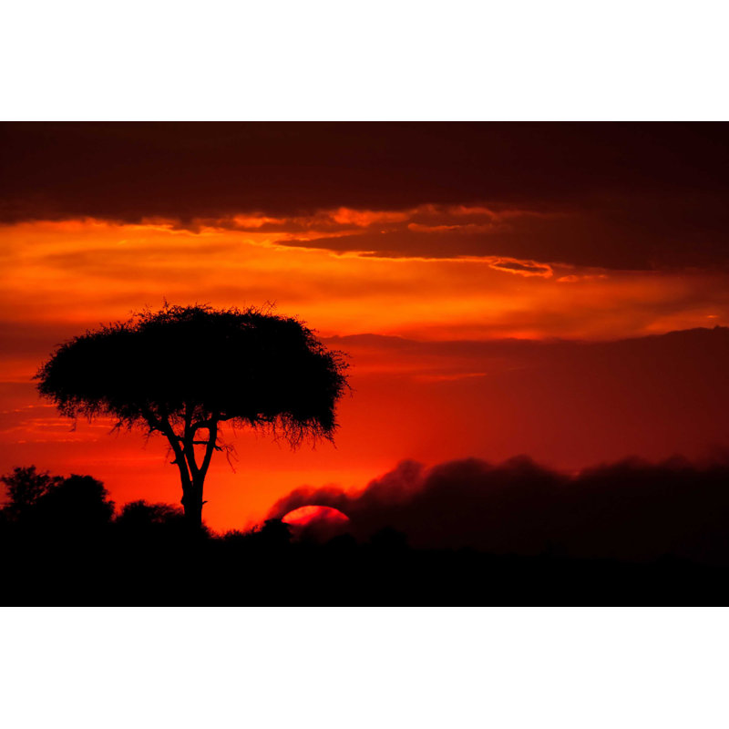 Burning Sunset - Photographie sur toile tendue, H 8 po x l 12 po
